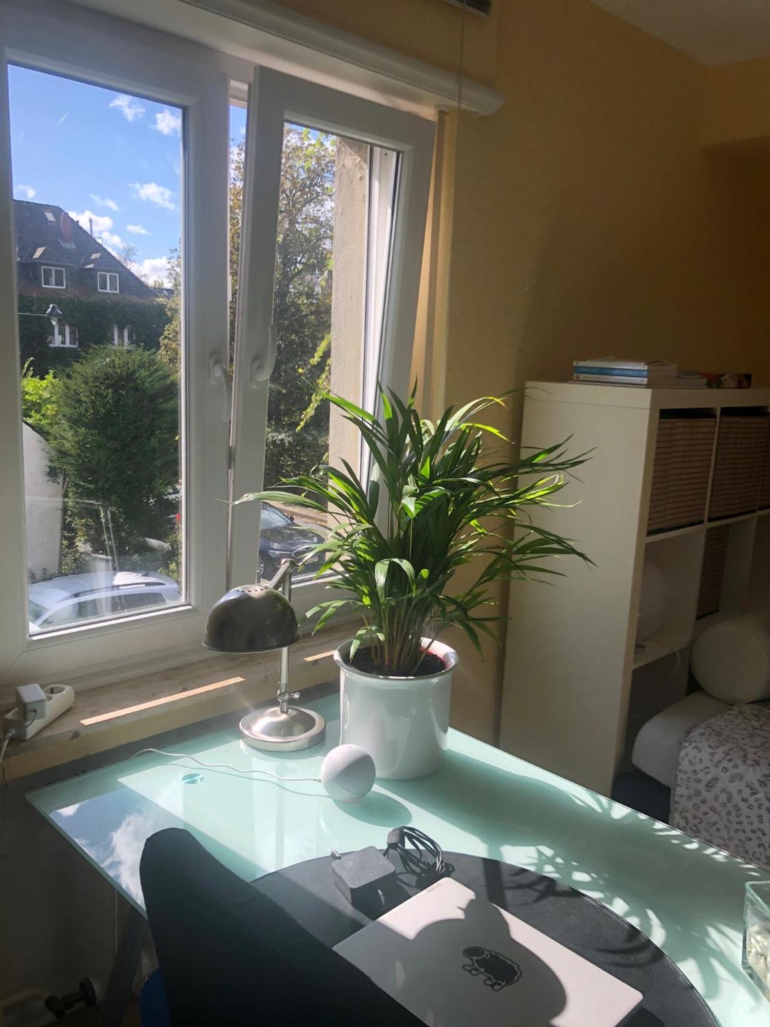 Glueck In Benrath Appartement Düsseldorf Buitenkant foto